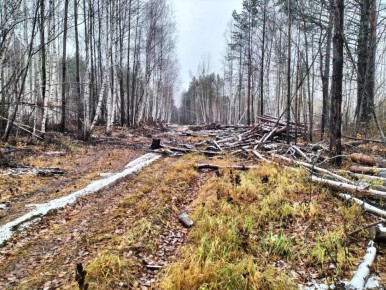 � ������������� ������ ������� ������� ������� �������� �� ���������� ���� � ��������� �������� ��������