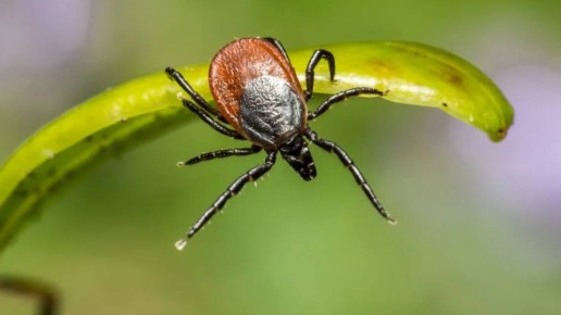 ���������� �� ��������� ����������: ���� ����� � ������� ����� � ������