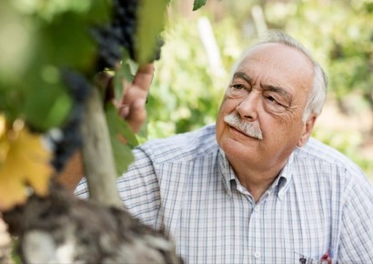 �� ����������� �������� � ��������: ��� ���� ����� ����