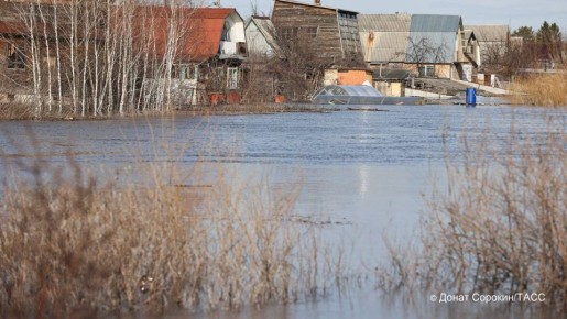 ����� 100 ����� ����� � 13 ���������� ������� �������� � ���� ���������� ���������� ��� ������� � ������� �������