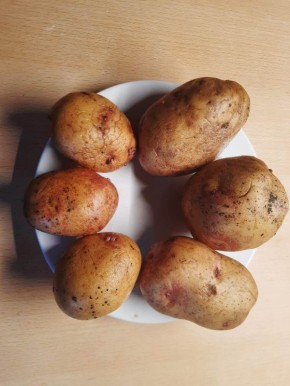 ��� ������� ������ ������ ��������� ��� ��������� ������