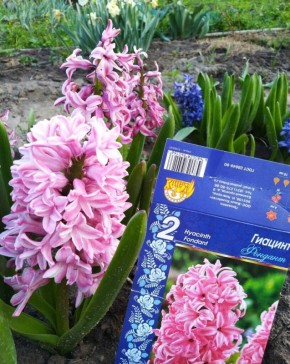 �������� �������� � ��������