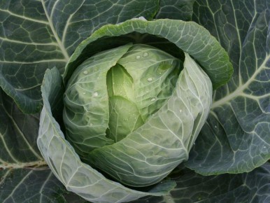 ��� ������� ��������� ������� ������ ������� �� ����������