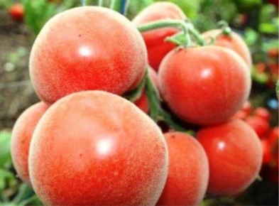 �������� ������� ��� ������� �����������: 10 ������ ������