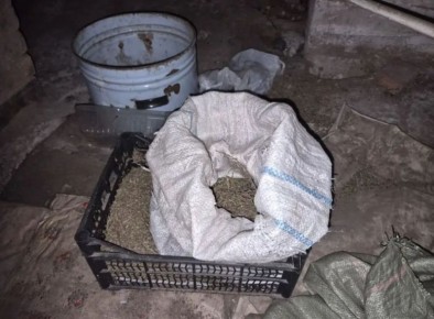 ���������� ���������� ������� ���� ������ �� �������������� ������, �������� ����������� ����������, ��������� ����� �� �������� ������ ������� ����� �� 1983 ���� ��������, �������������� � ���������� �������� ���������