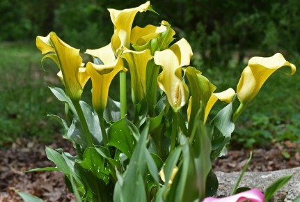 �����: ����� ������� ��� ������ ����