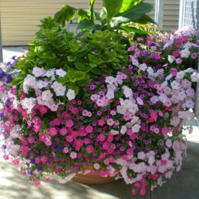 �����, ������� ������� ��� ��� ��������� ������������� ���������