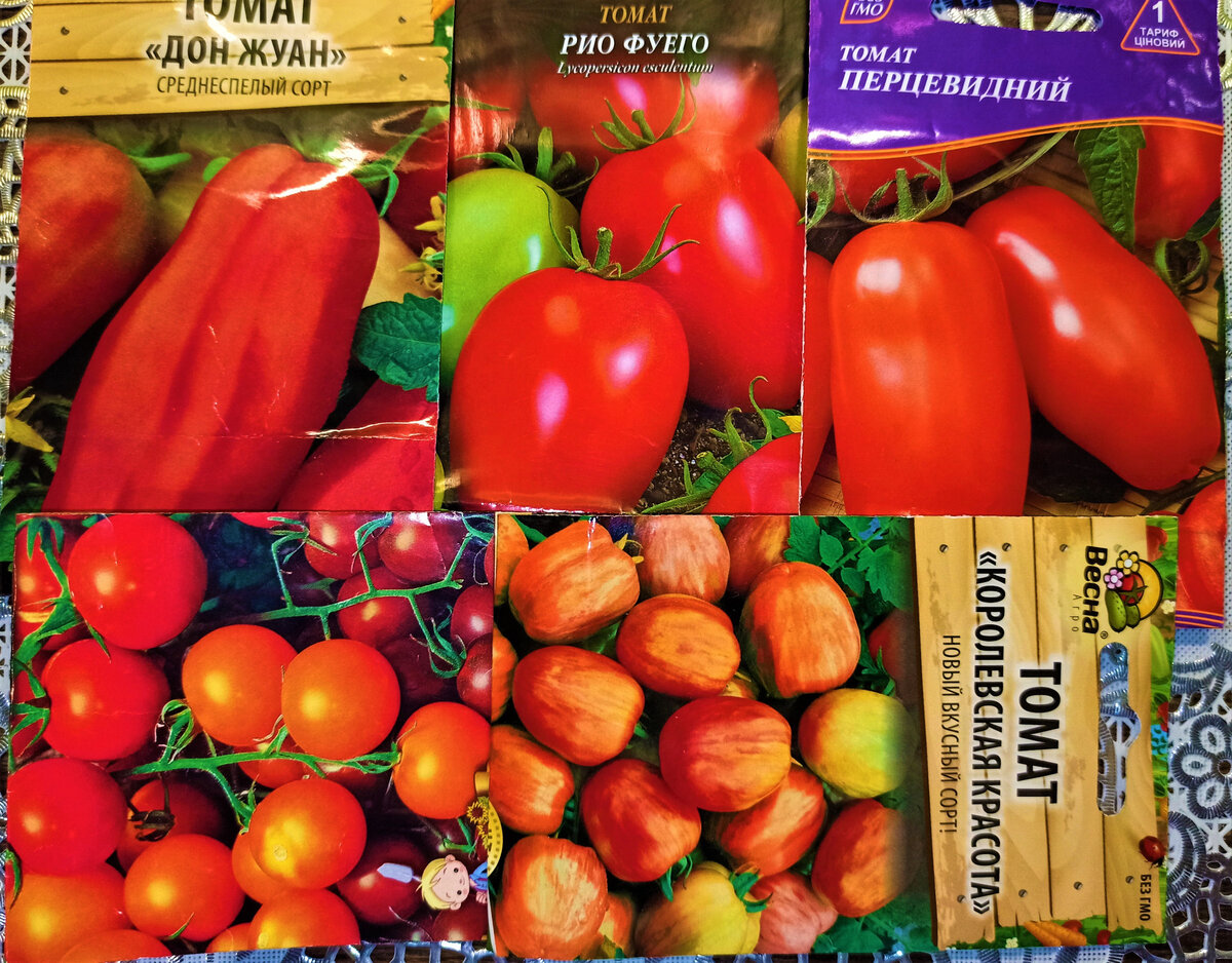 Томаты для вашего огорода: проверенные сорта, которые стоит посадить