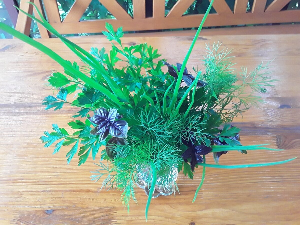 Зелень на столе: как подать свежую траву с изюминкой