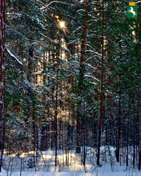Легкого начала недели!. Ожидается преимущественно пасмурная погода, возможен снег, +4°