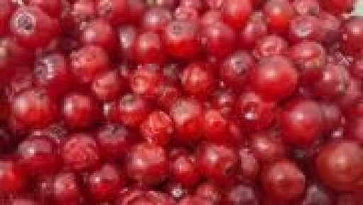 Ягоды как природный щит: здоровье под защитой