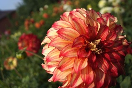 ���������� ��������: ����� ��������������� ����� ��� ������ ����