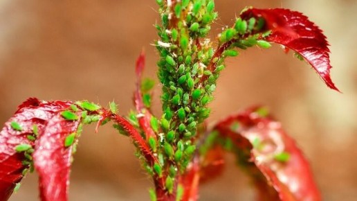 ��� ���������� ���������� �� ��� �� �����