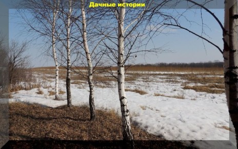 �������� ������ ��� ���������� ��������: ��� ����� ����� ���� ������