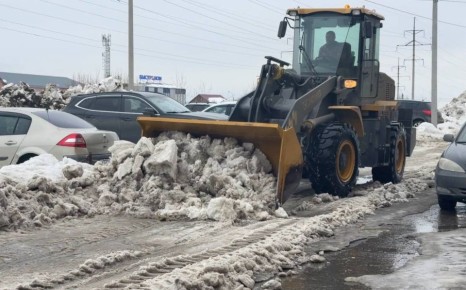 ������� ������: �� ���� ������� ������������� ��������� ������ �� ������ �����