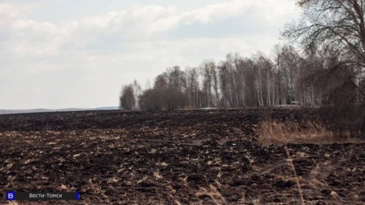 � 9 ������� ������� ������� �������� ����������� ����������� ������ � ������ �������