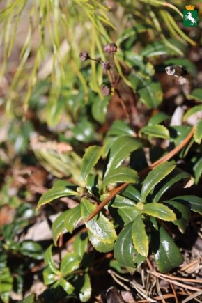 ������� ��������!. ��������� ��������� ������, +4�