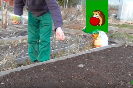 ����� �������� ����� ��������� � �������: ���������� ������