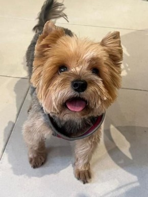 ������������ � ������ �������� �������� ����� �������� ������� ���������� �������� � ������