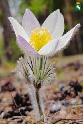 Хорошей пятницы!. Ожидается переменная облачность, +8°