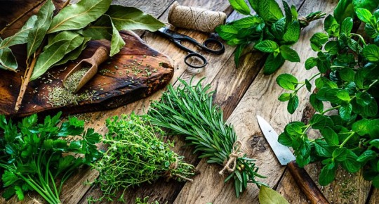 ��� ��������� ������������ ������ �����: ��������� ���������������� ������