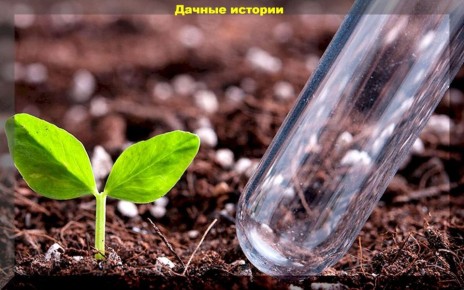 ��� ���������� pH ����� � ������������ ��������� �������� �������� ������ �� ����