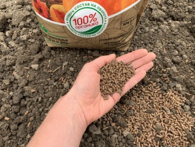 ����������� ����������� ��� ��������: �������� ��� ������������ ���������