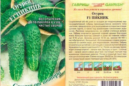 ������ ������: ������� ����� � ������������ �����