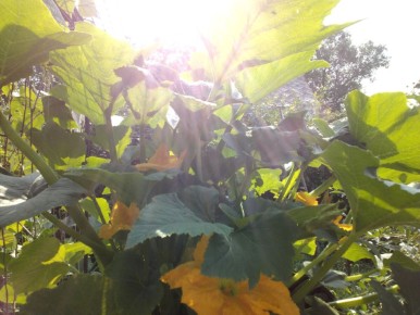 ������� ����� ����� ��������: ����� �� ������������������?