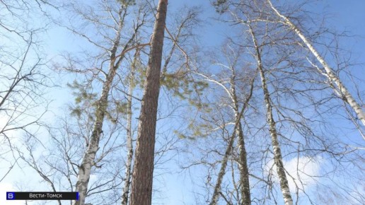 Природоохранная прокуратура защитила особо охраняемые территории Томской области через суд