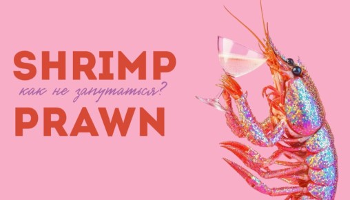 �������� � ����: ��� ����� ����� � shrimp � prawn