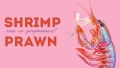 �������� � ����: ��� ����� ����� � shrimp � prawn