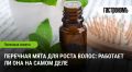 Перечная мята: секрет роста волос, который вы могли не знать