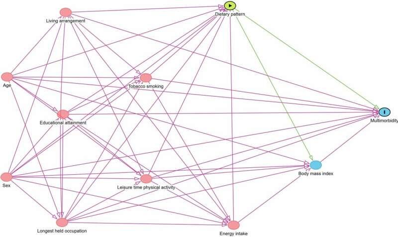 Питание и старение: как овощи могут замедлить болезни