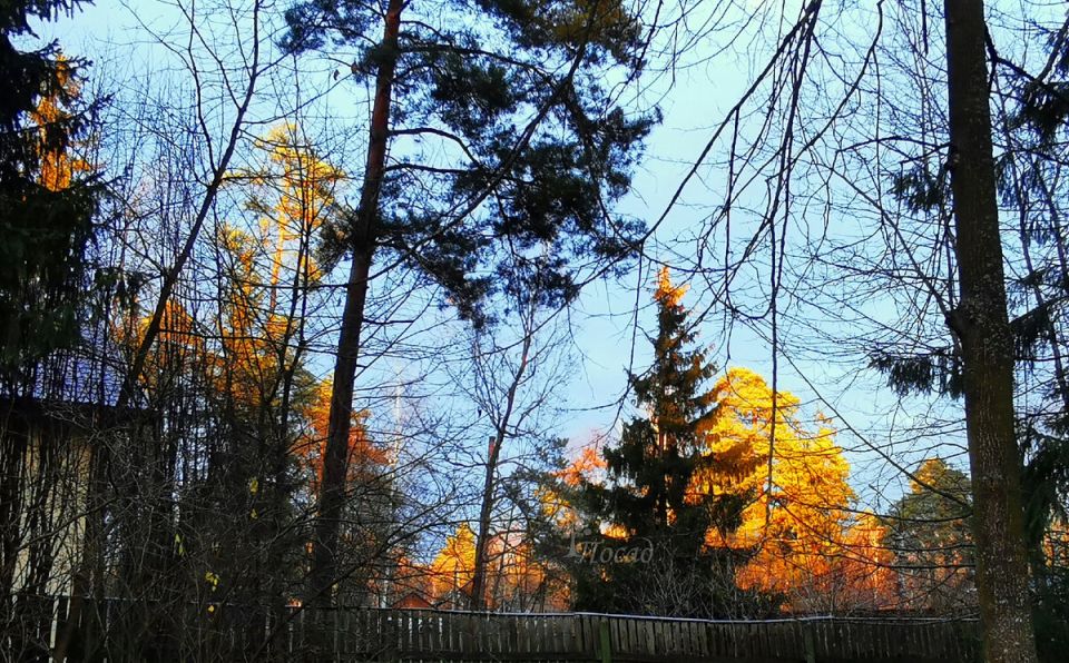 ���������� ��������: ��� ���������� �� ������� �������� � ������ �� ����� �����