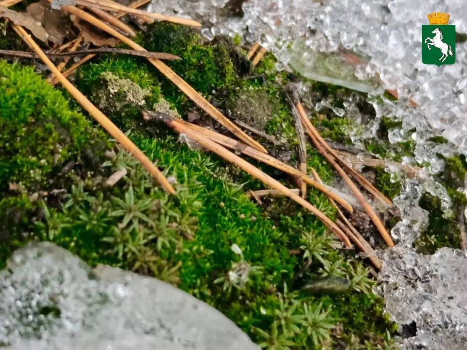 ������� ����������� ����!. ��������� ���������� ����������, +7�