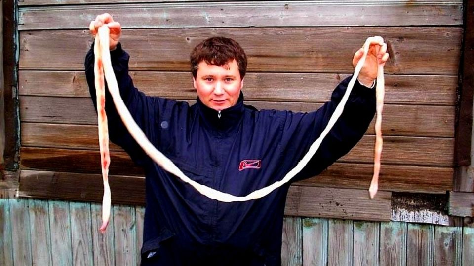 ������ ������ ���������� ��� ����� ������ �����������?