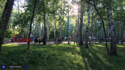 Инклюзивная спортивная площадка появится в Томске