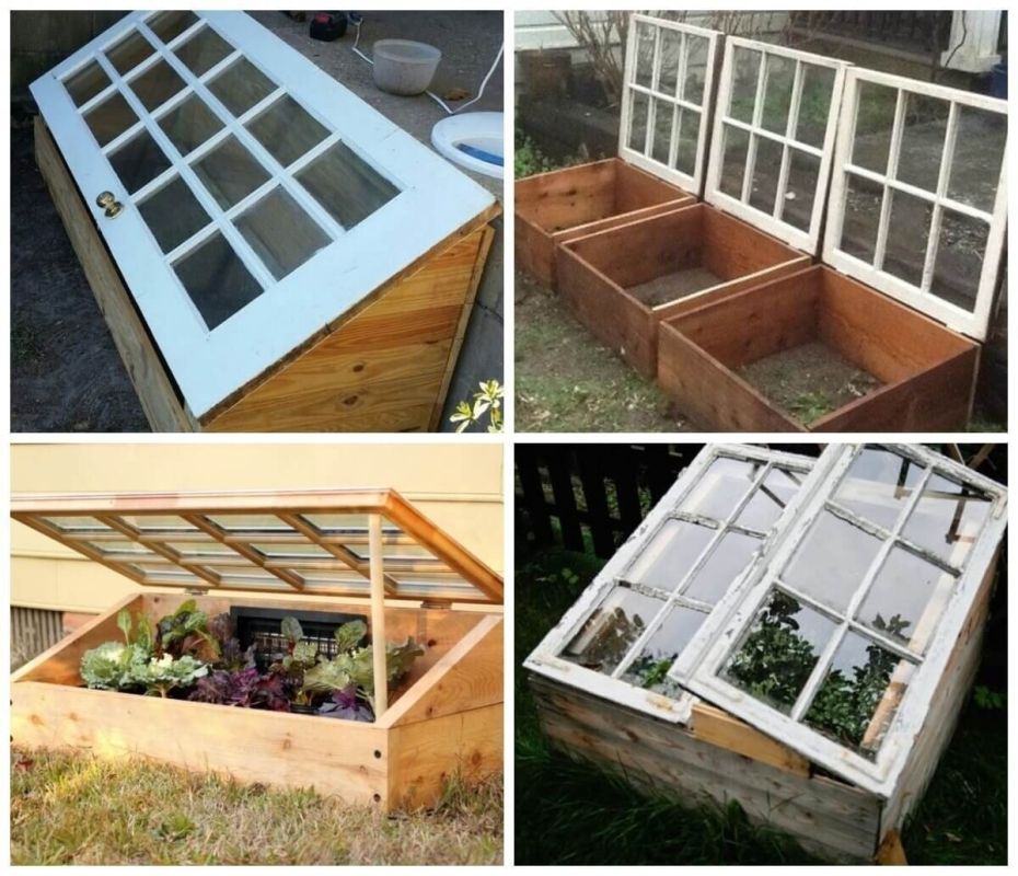 ��� ������ ���� ����� ����������� ���� ����