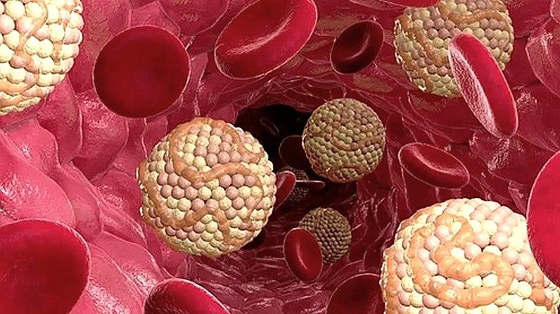 ��� ������ ��������� ����� �������������� ������������: ��� ����� �����