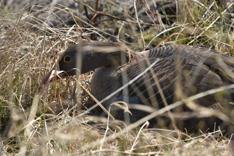 ������� ������� ������� ��������� ��� ������ ���� ���� ������ � ������� � ���� ���������, ����������� ������� � ���������, �������� ���� � ���