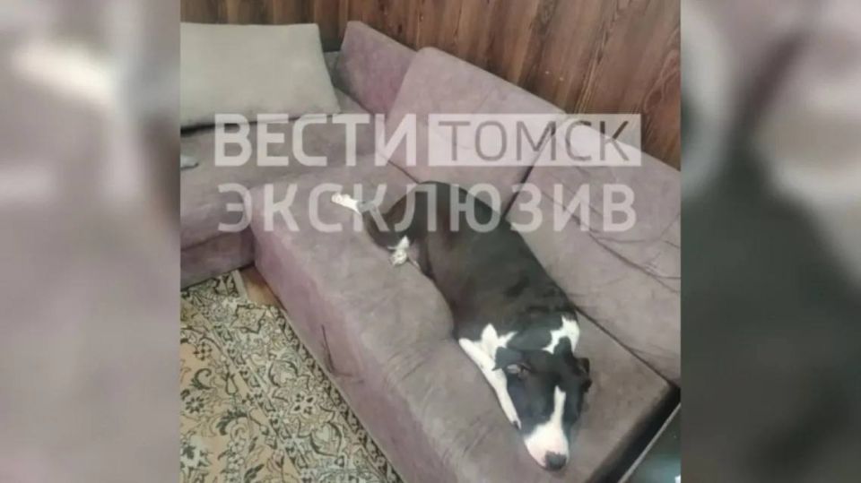 �������� ������ �� ��������� ���������������� ��������� �� ���������