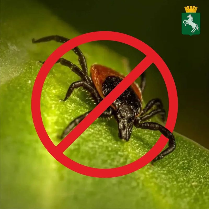 ������� ������: � �������� ����������� ����� ���������� � ����� ������