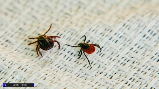 ���� ���� � ����� �����: ����� ������� ���������� �� ������ � ������� �������