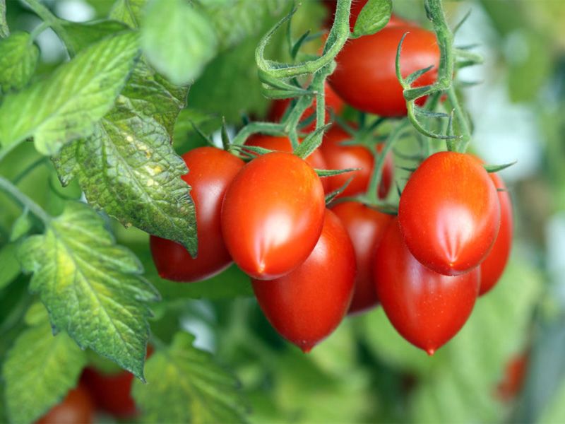 ���������� ������ �� ��������� ����� �������: ��� ����� �����