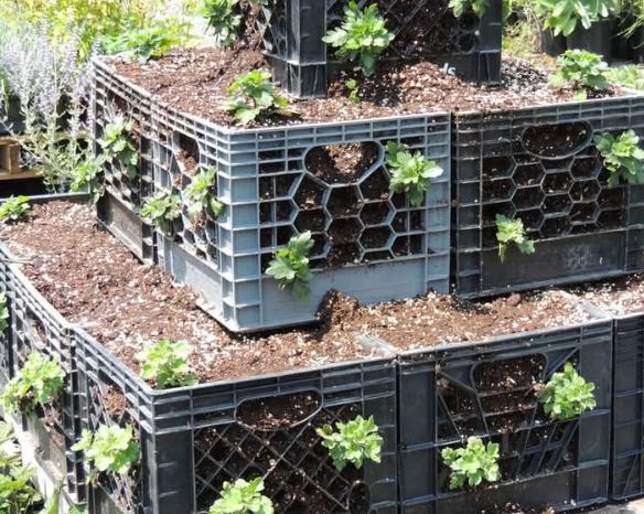 ���� ������������� ����������� ������: �� ������� �� ����