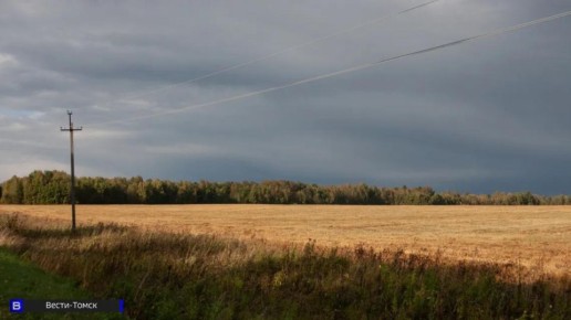 Томские пивовары встречают белорусский ячмень: ввезено более 900 тонн