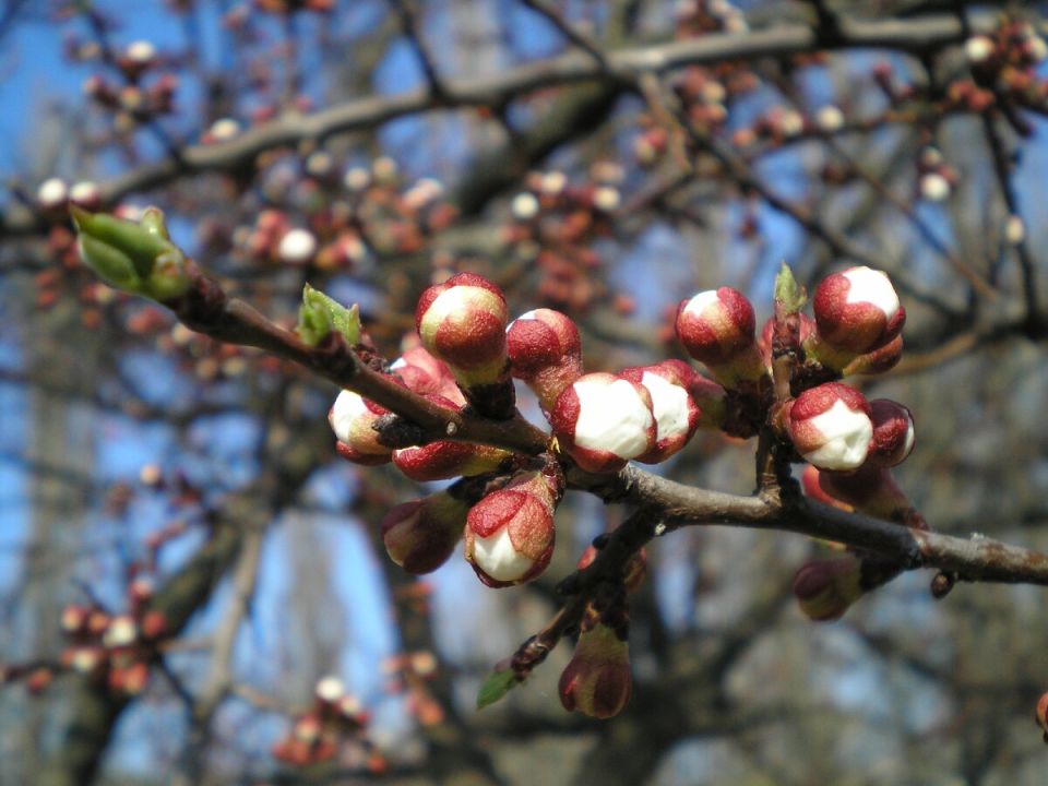 ��� �������� ������� �� ���������� � �������� ������