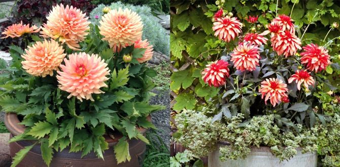 ������������� ���������� �������: 7 ������������ �������� ��� ������ ����