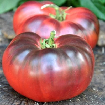 Томат Вкусный приз: уникальный сорт, заслуживающий внимания садоводов